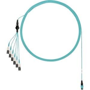 Panduit OM3 12F PLENUM HARNESS PANMPO- FXTRP8NUGSNF042