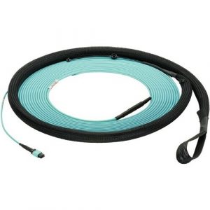 100FT OM4 24FB ISDT PL POL-AOPT IL - FYZUP77X005F100