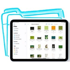 Apple iPad (10th Generation) A2757 Tablet - 10.9" - 8 GB - 256 GB Storage - 5G - Blue - A14 Bionic Hexa-core (6 Core) - 2360 x - MQ6U3LL/A - Image 5