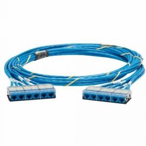 Panduit QuickNet Cat.6 UTP Trunk Network Cable - 33 ft Category 6 Network Cable for Network Device - First End: 1 x RJ-45 Network - Male - Second - QCPWJJL0001F033