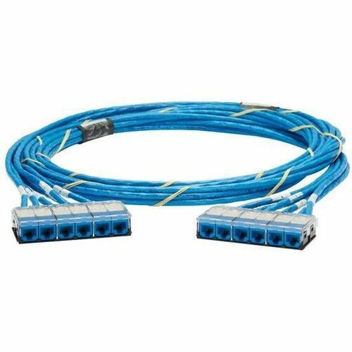 Panduit QuickNet Cat.6 UTP Trunk Network Cable - 31 ft Category 6 Network Cable for Patch Panel - First End: 1 x RJ-45 Cassette Network - Female - - QCRBCCR0001F031