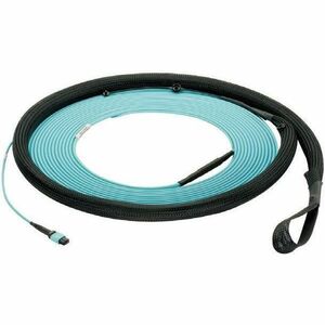 Panduit SM 12F TRUNK PLENUM POL B ST FY9TP77B005F100