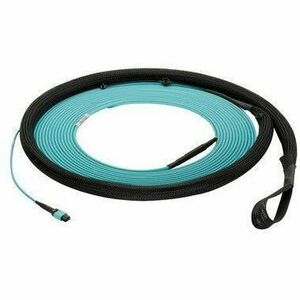 Panduit 12-FIBER 100FT - PANMPO TO PANM FY9TP77B001F100