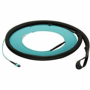 Panduit SM 24F LSZH POL A STD IL 50M FY9UL77A005M050