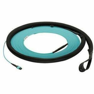 Panduit 24-FIBER LSZH TRUNK PANMPO-B T FY9UL77B001M030