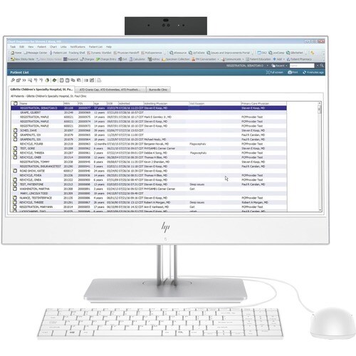 HP I CUSTOM 800 G5 EOT AIO I5-9600 8GB 256GB 2L4Q5US#ABA