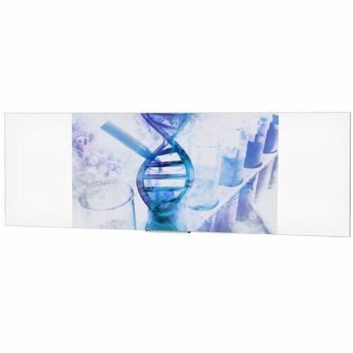 Da-Lite IDEA PANORAMIC 53X144 VA 16:9 FLMT CUST PAYS FRT 8XF403