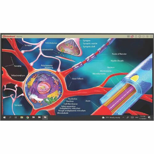 Viewsonic TEAMJOIN TRS10 WITH DISPLAY BUNDLE CERTIFIEDFOR MS TEAMS ROOMS JZ5521