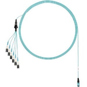Panduit OM4 12F PLENUM HARNESS PANMPO- FZTRP8NUFSNF013