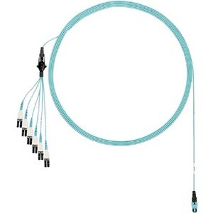Panduit OM4 12F PLENUM HARNESS M PANMPO FZTRP8NUJSNF015